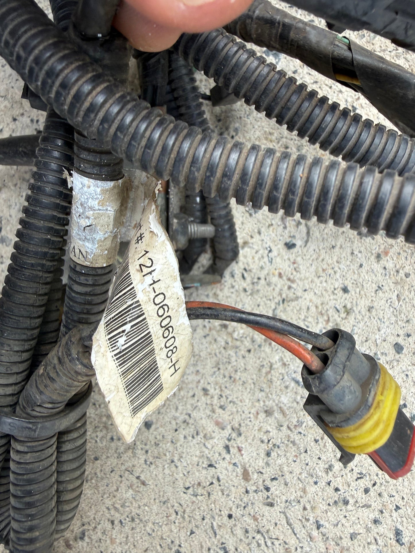 VE HSV E2 E3 DRL Front Bumper Wiring Harness - Used
