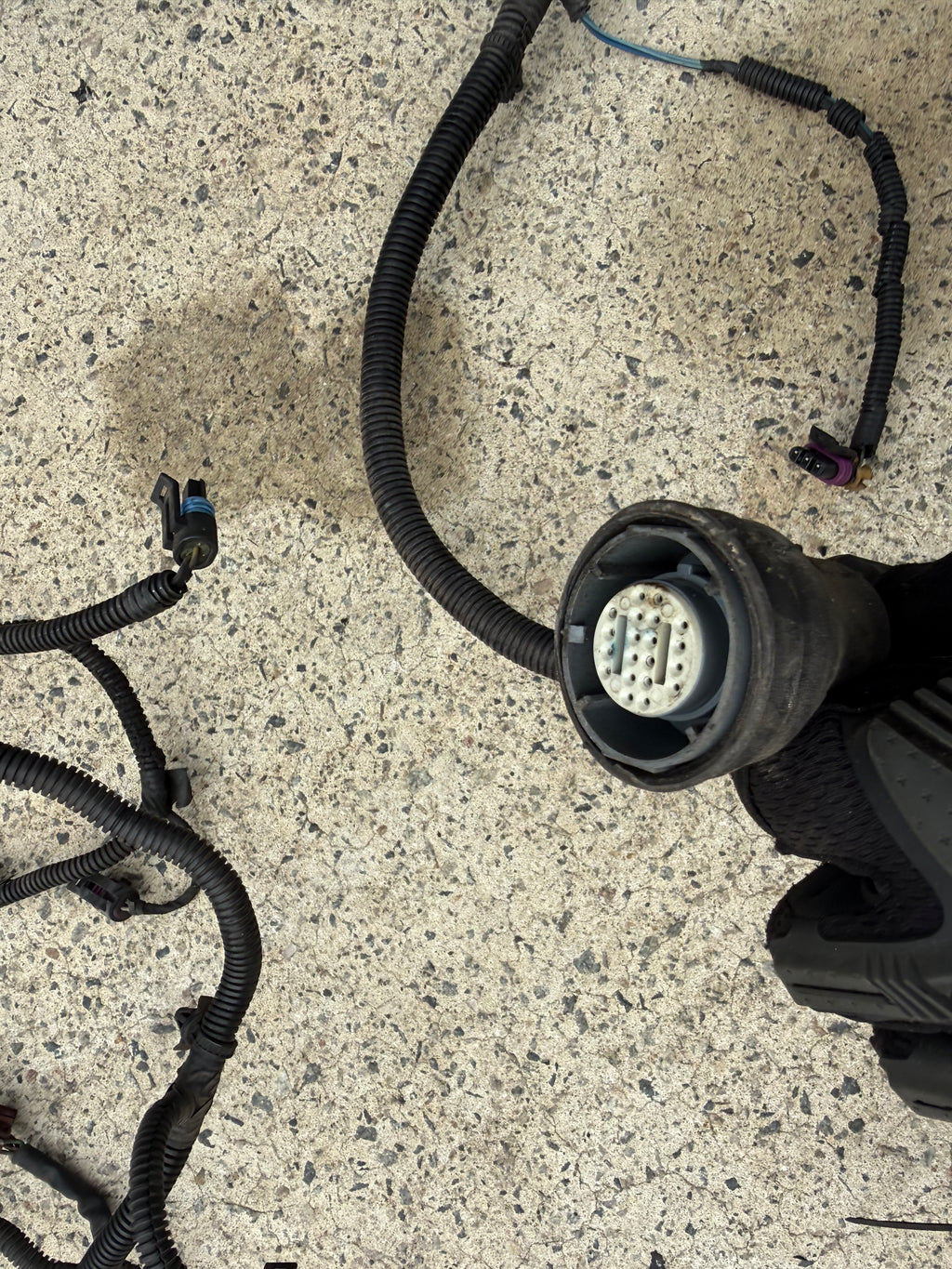 VY SS LS1 ENGINE WIRING HARNESS