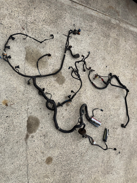 VY SS LS1 AUTO ENGINE AND POWER WIRING HARNESS