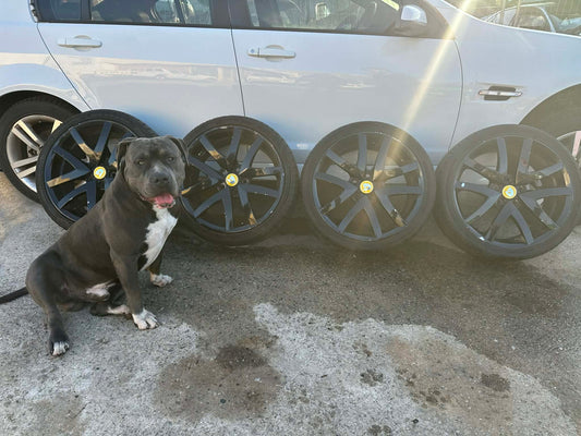 HSV E1 Clubsport Rims and Tyres Full Set of 5