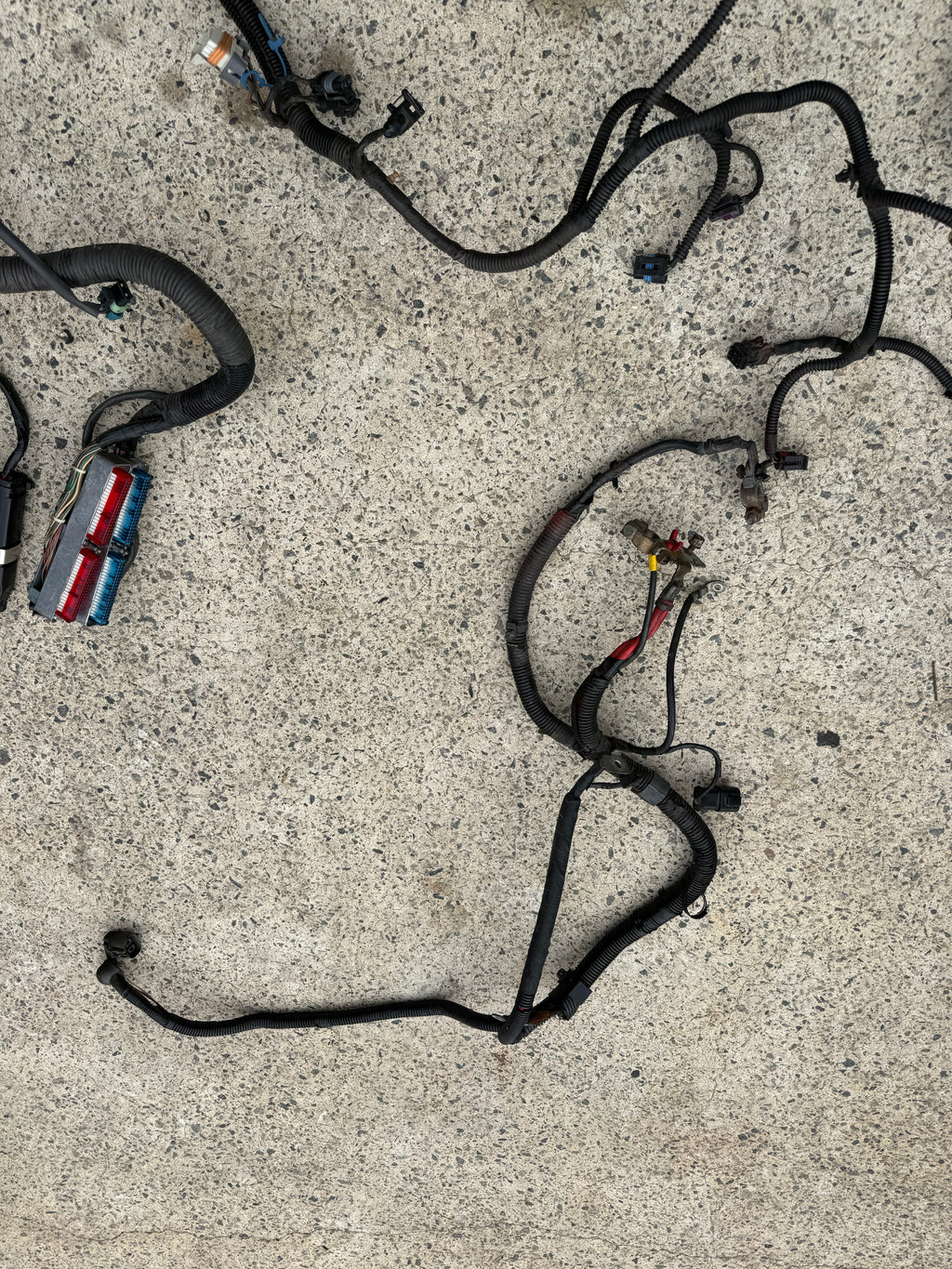 VY SS LS1 ENGINE WIRING HARNESS