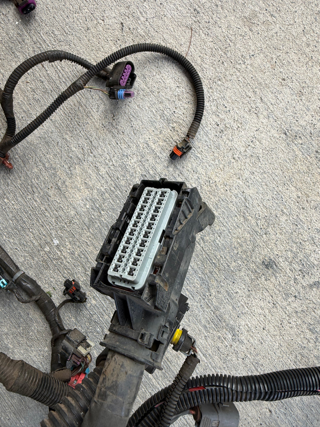 VE HSV Commodore LS3 Automatic Engine Wiring Harness