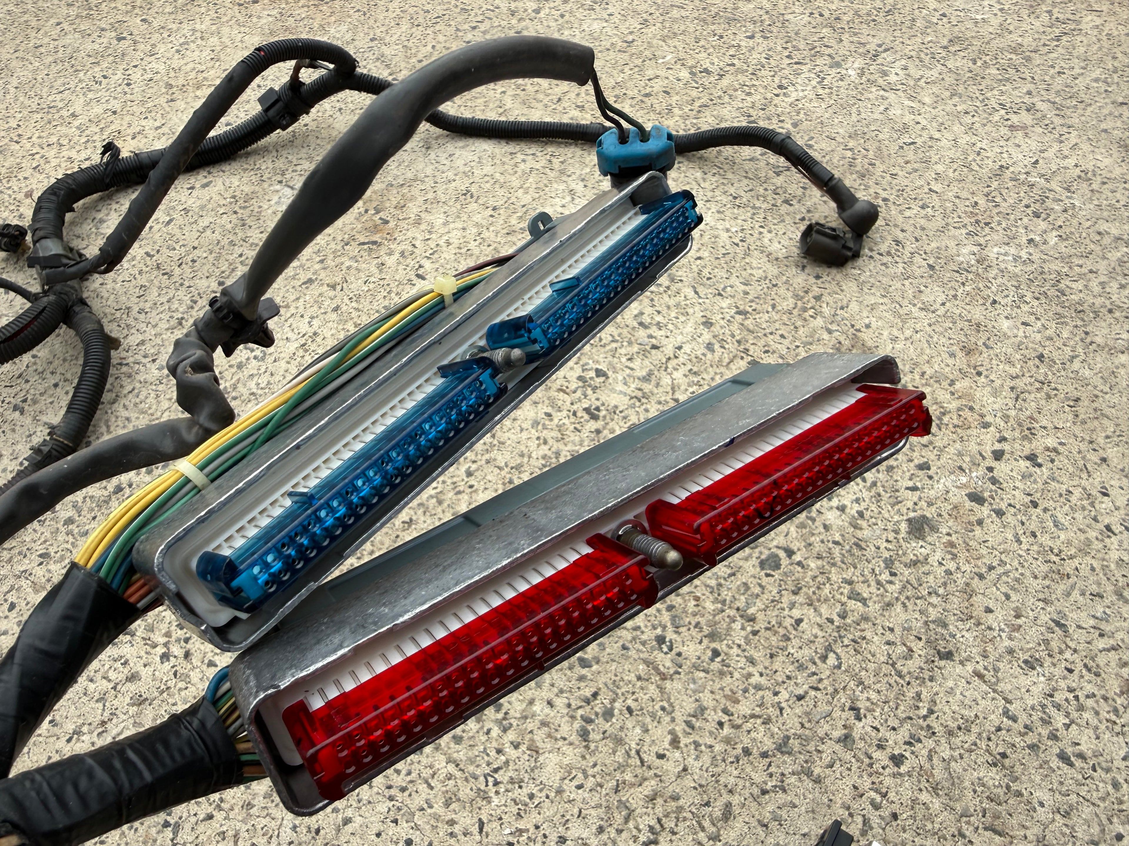 VY SS LS1 ENGINE WIRING HARNESS